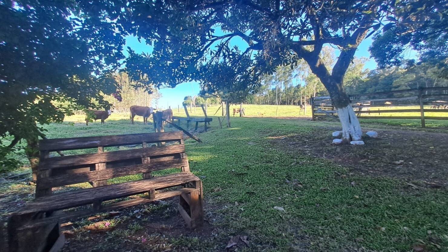 Fazenda, 21 hectares - Foto 44