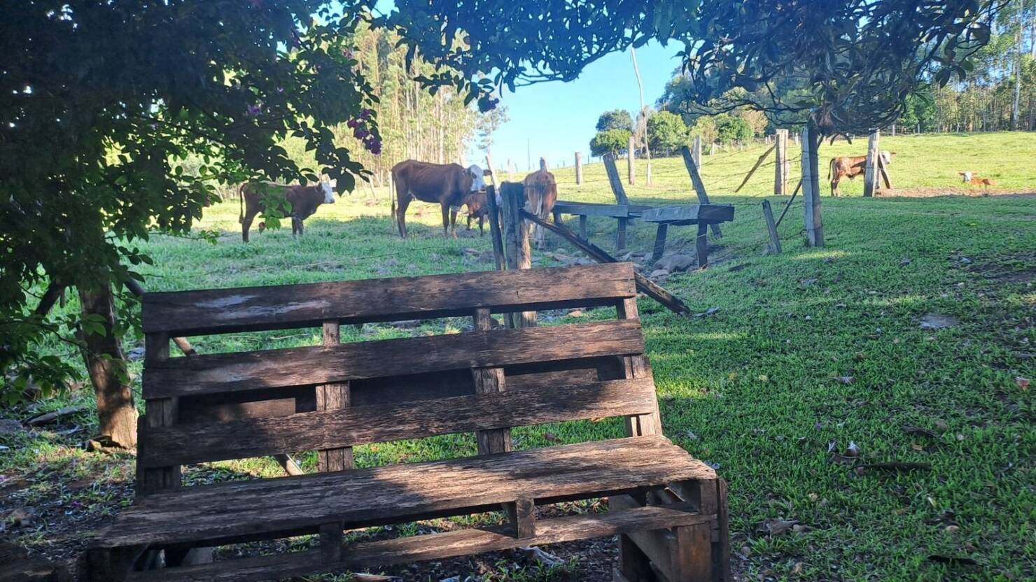 Fazenda, 21 hectares - Foto 45