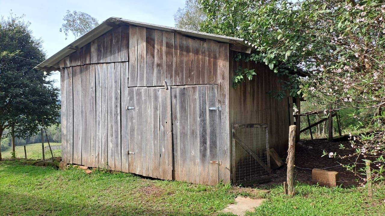 Sítio à venda com 3 quartos, 1000m² - Foto 6