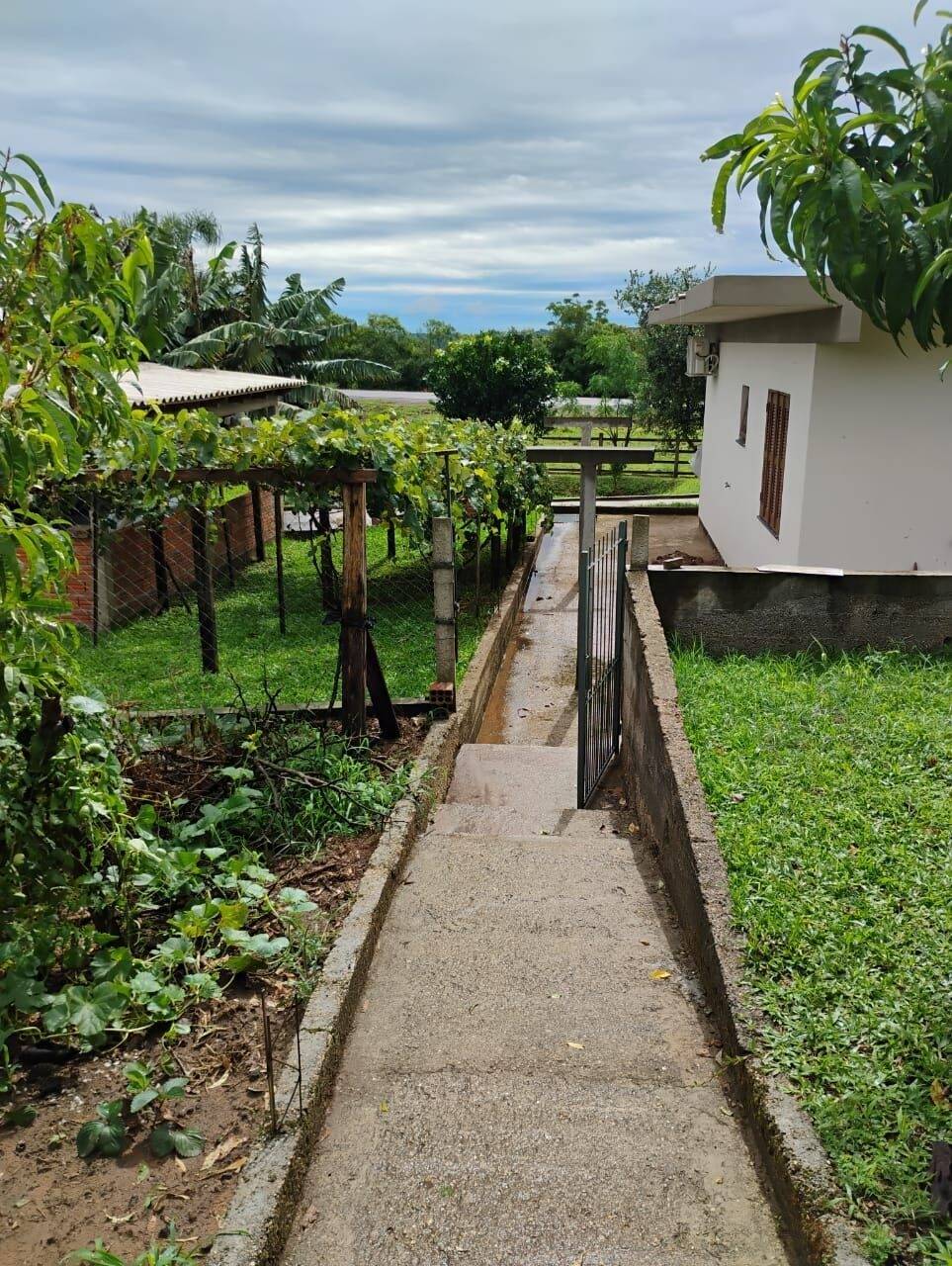 Chácara à venda com 2 quartos, 100m² - Foto 10