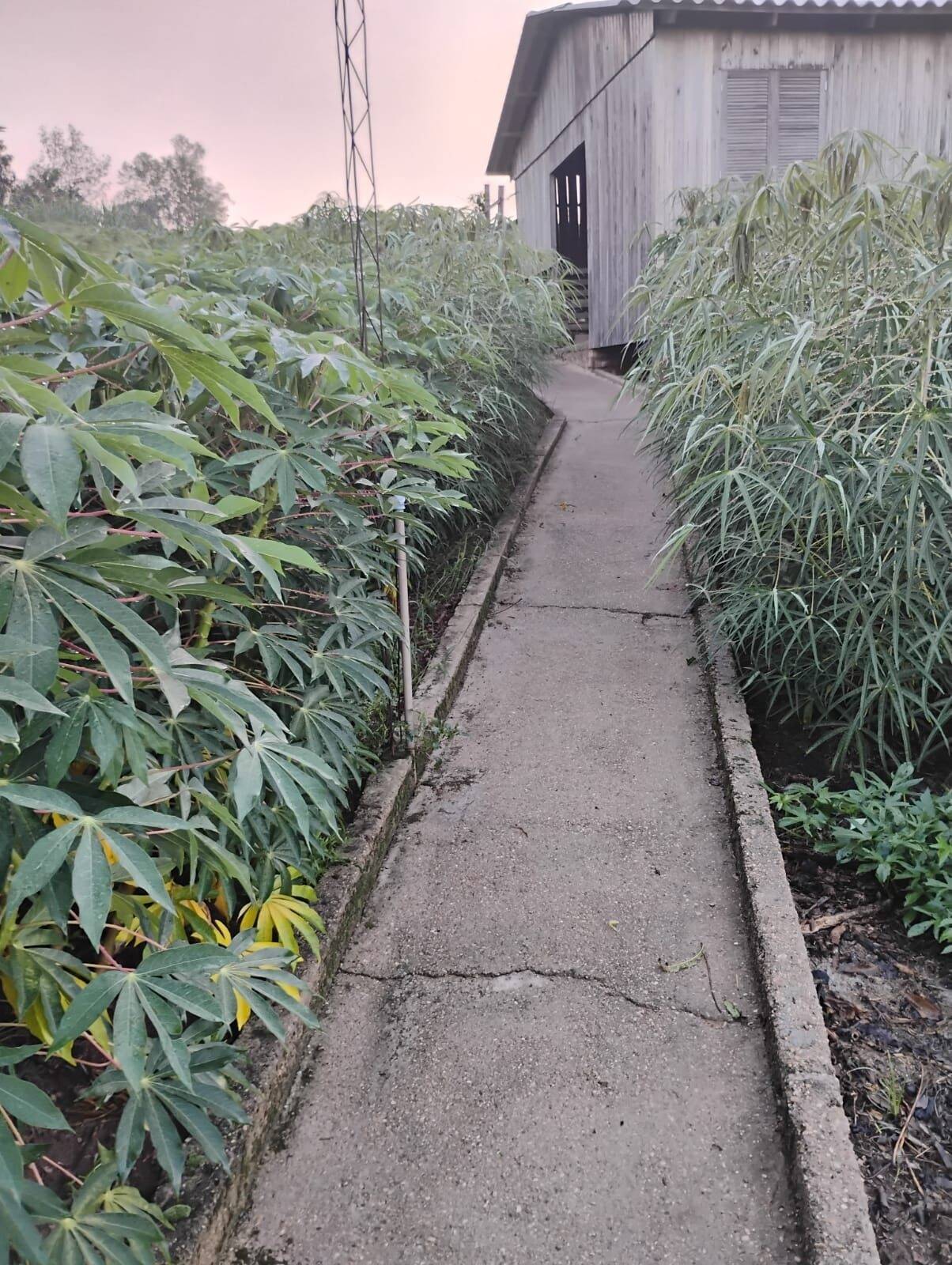 Chácara à venda com 2 quartos, 100m² - Foto 12