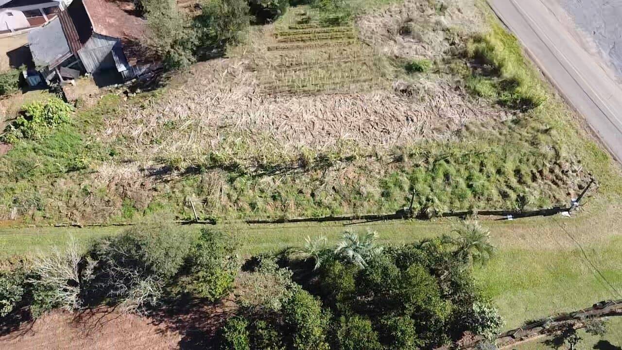 Terreno, 5 hectares - Foto 3