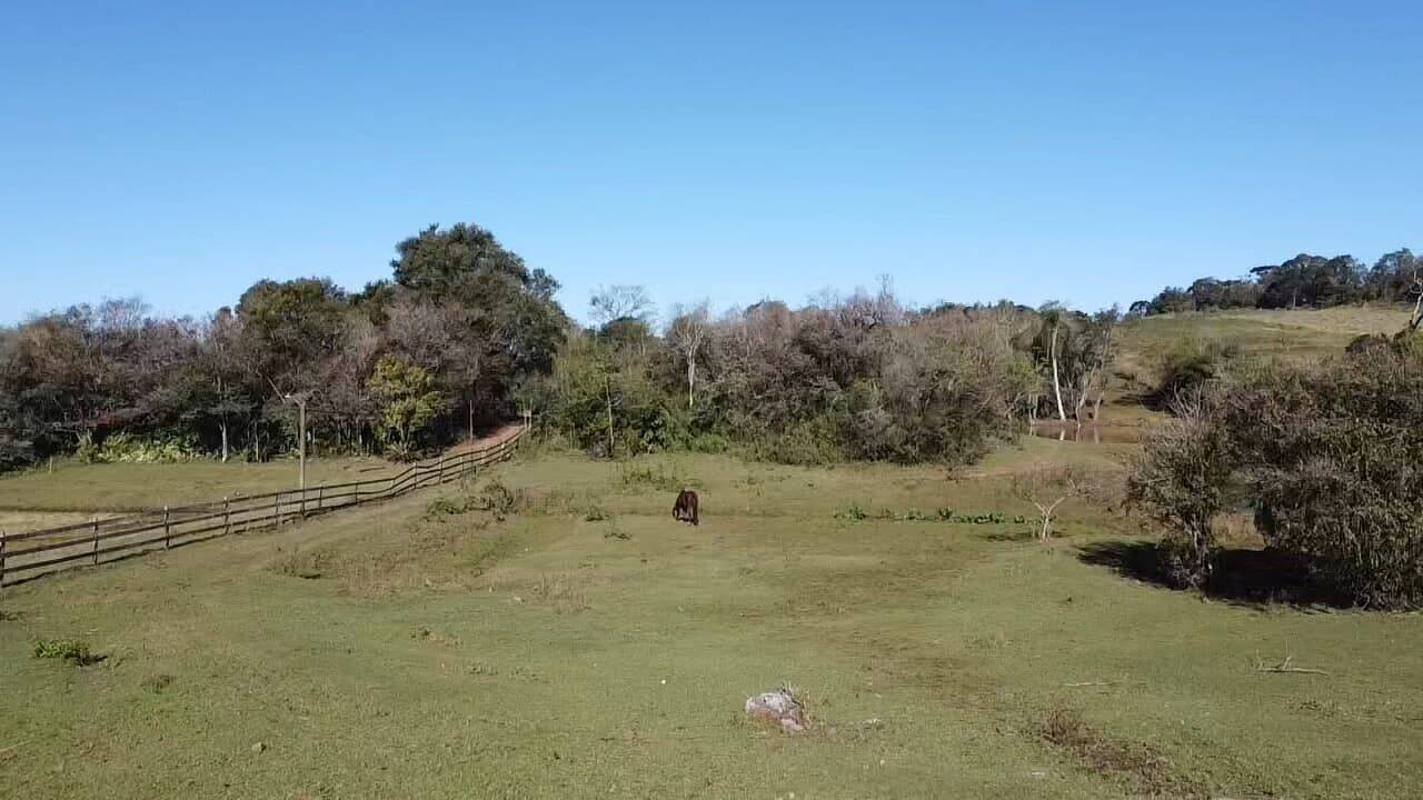 Terreno, 5 hectares - Foto 4