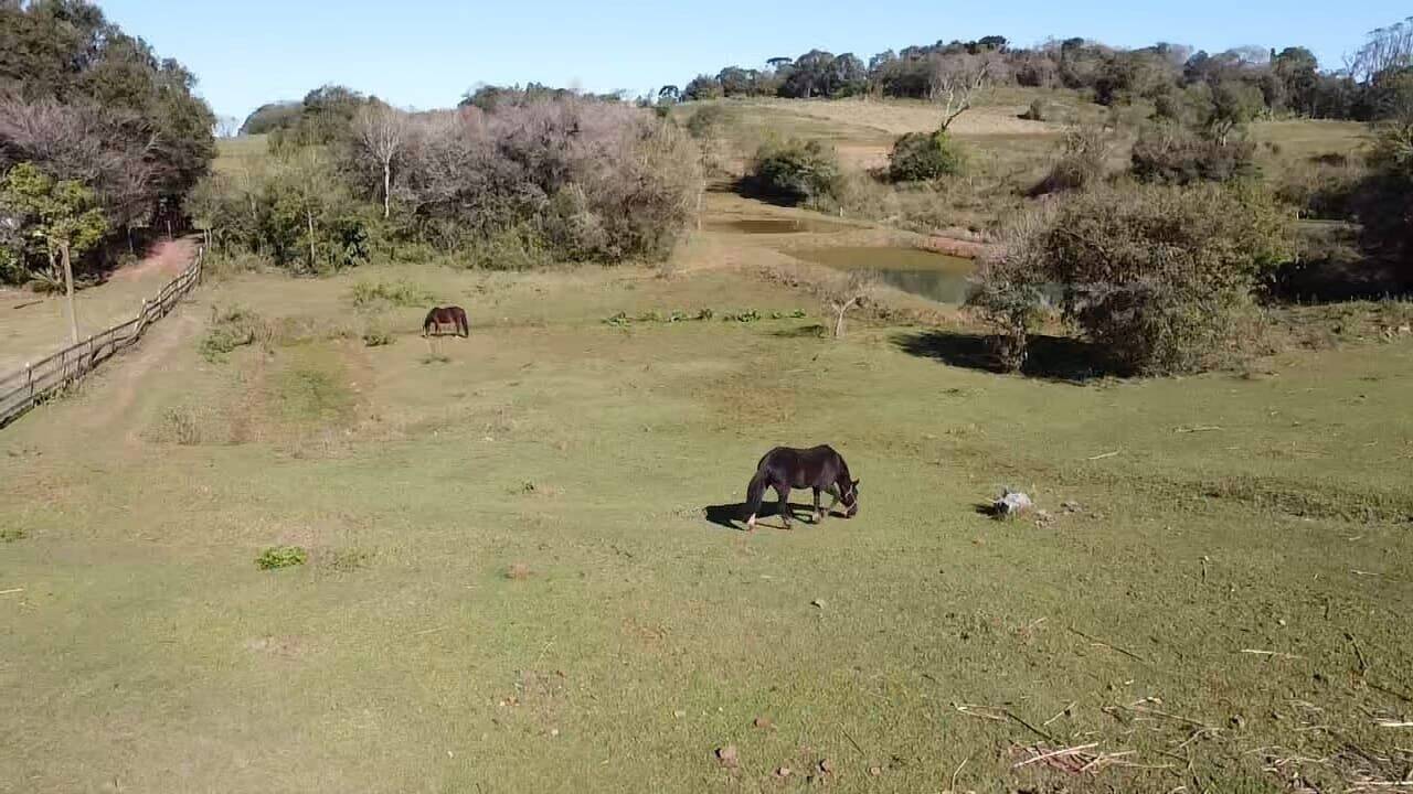 Terreno, 5 hectares - Foto 5