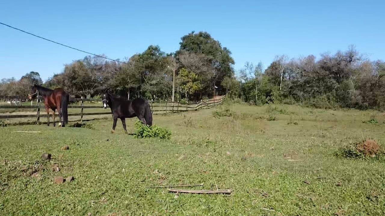 Terreno, 5 hectares - Foto 6
