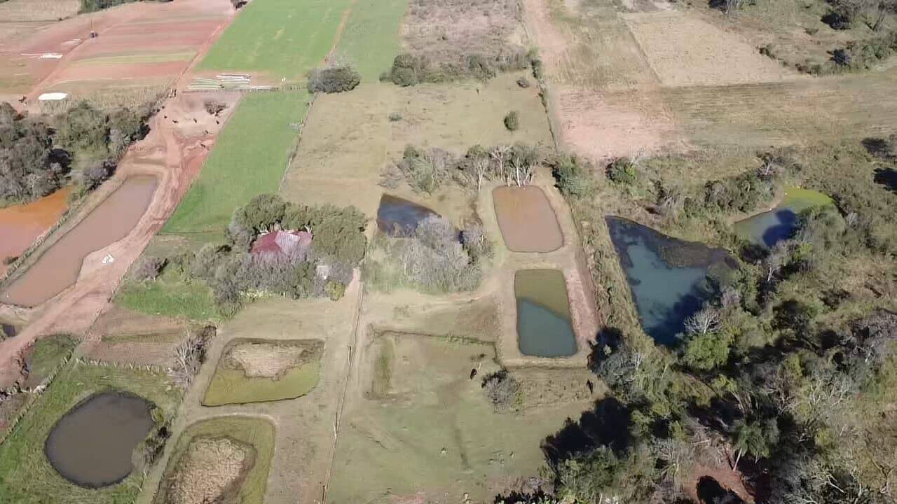 Terreno, 5 hectares - Foto 8