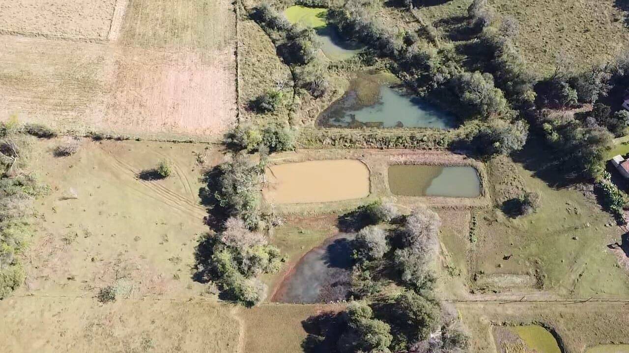 Terreno, 5 hectares - Foto 9
