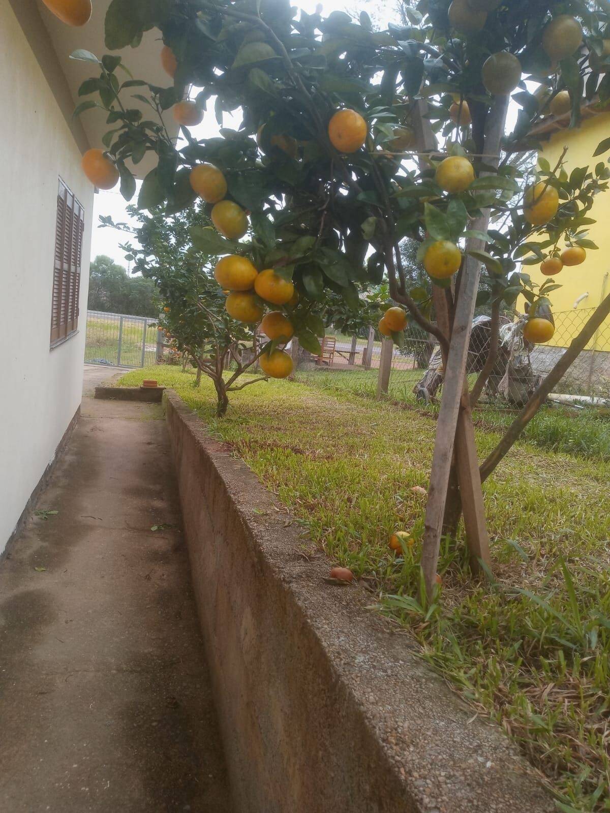 Chácara à venda com 2 quartos, 100m² - Foto 24