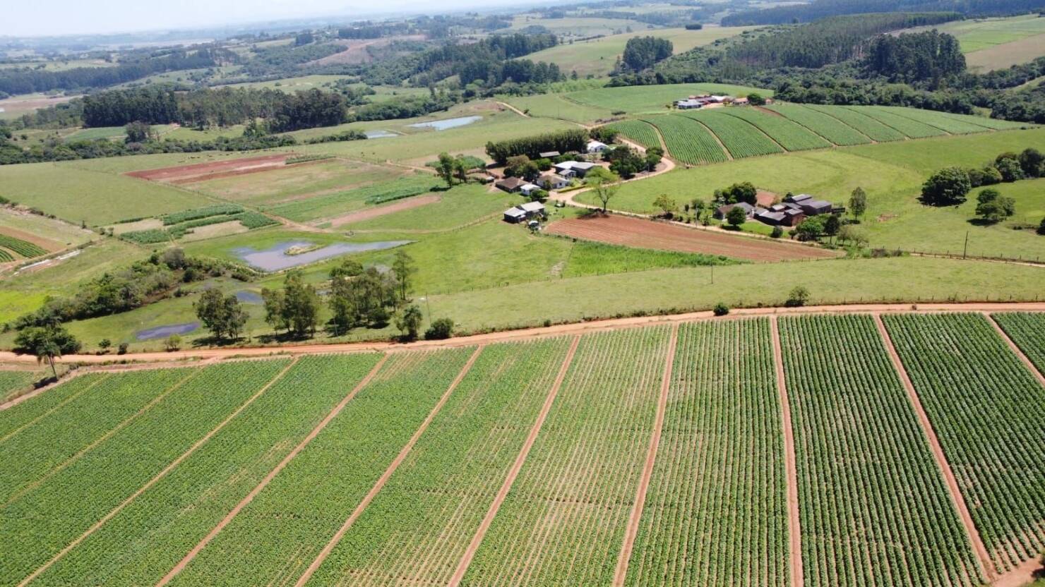 Terreno, 2 hectares - Foto 3