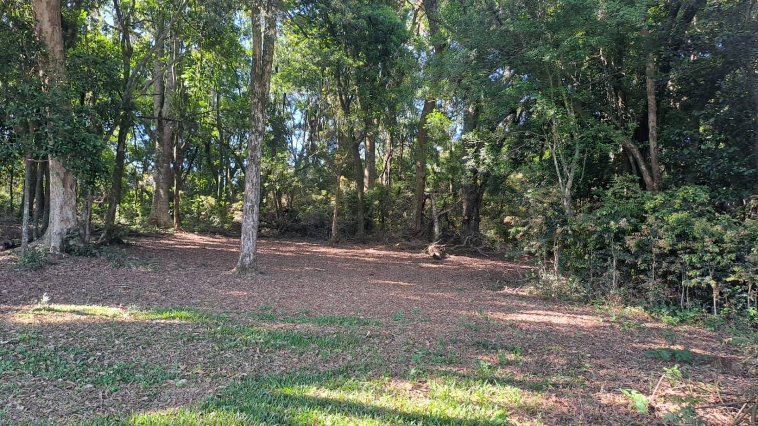 Chácara à venda com 2 quartos, 100m² - Foto 6