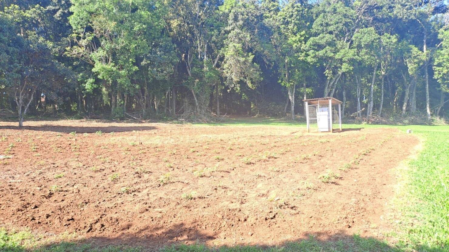 Chácara à venda com 2 quartos, 100m² - Foto 8