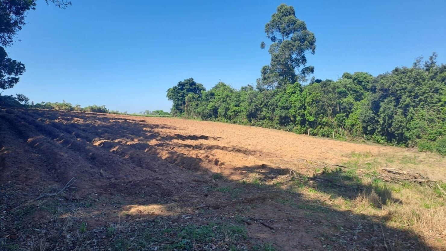 Chácara à venda com 2 quartos, 100m² - Foto 9