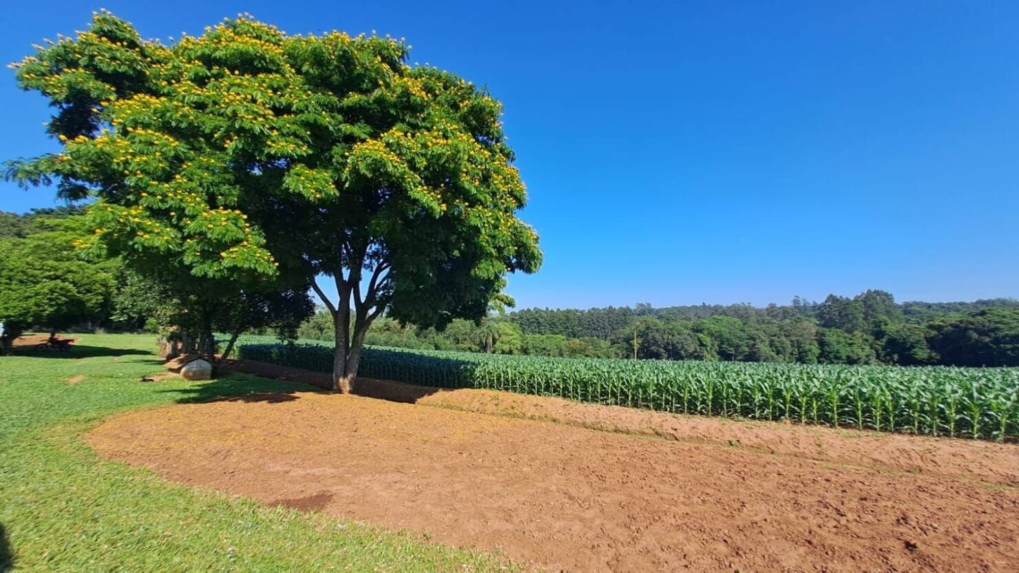 Chácara à venda com 2 quartos, 100m² - Foto 14