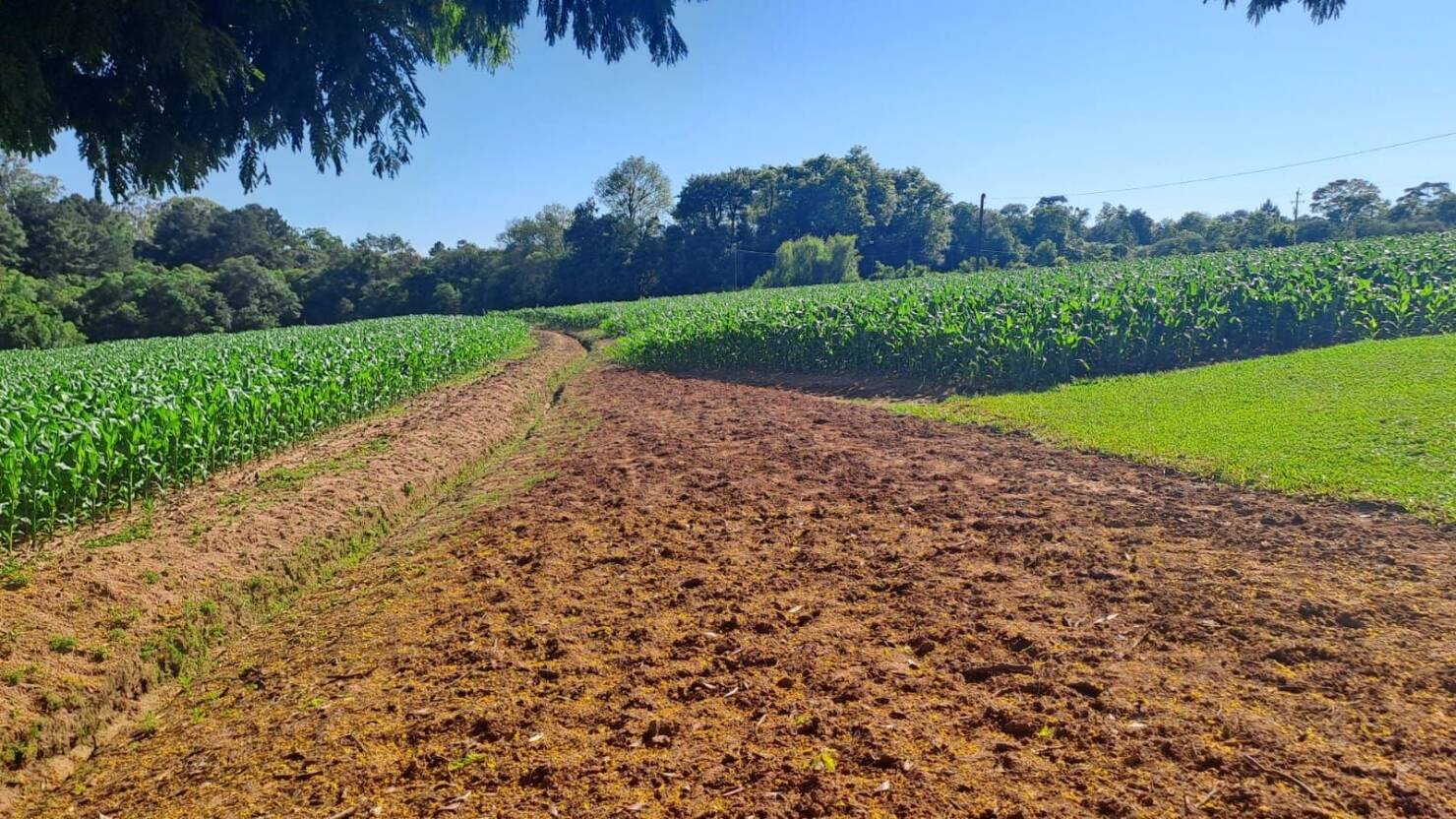 Chácara à venda com 2 quartos, 100m² - Foto 17