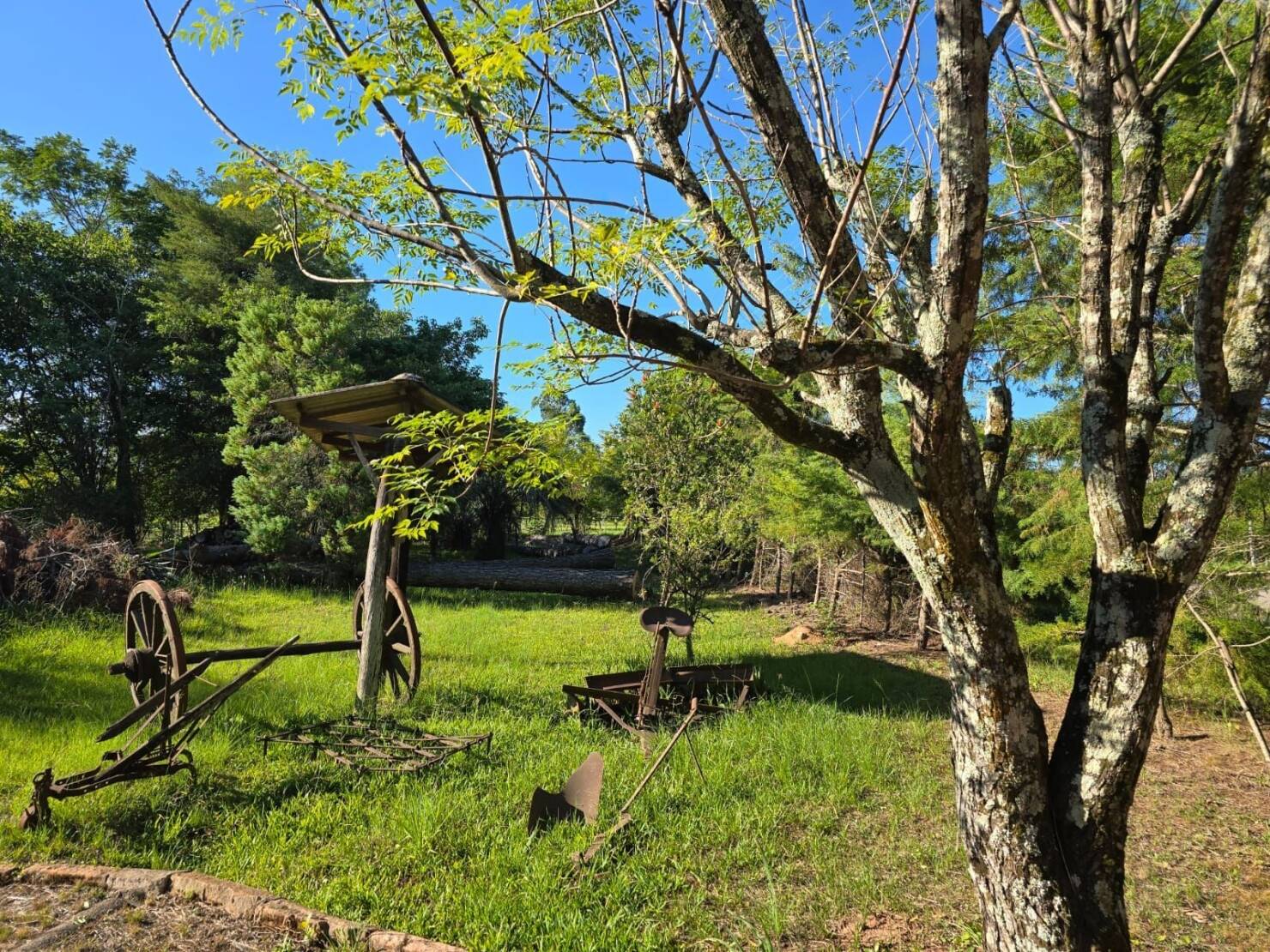 Chácara, 1 quarto, 3 hectares - Foto 3