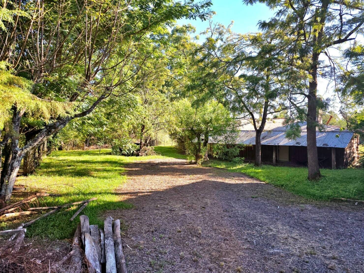 Chácara, 1 quarto, 3 hectares - Foto 4