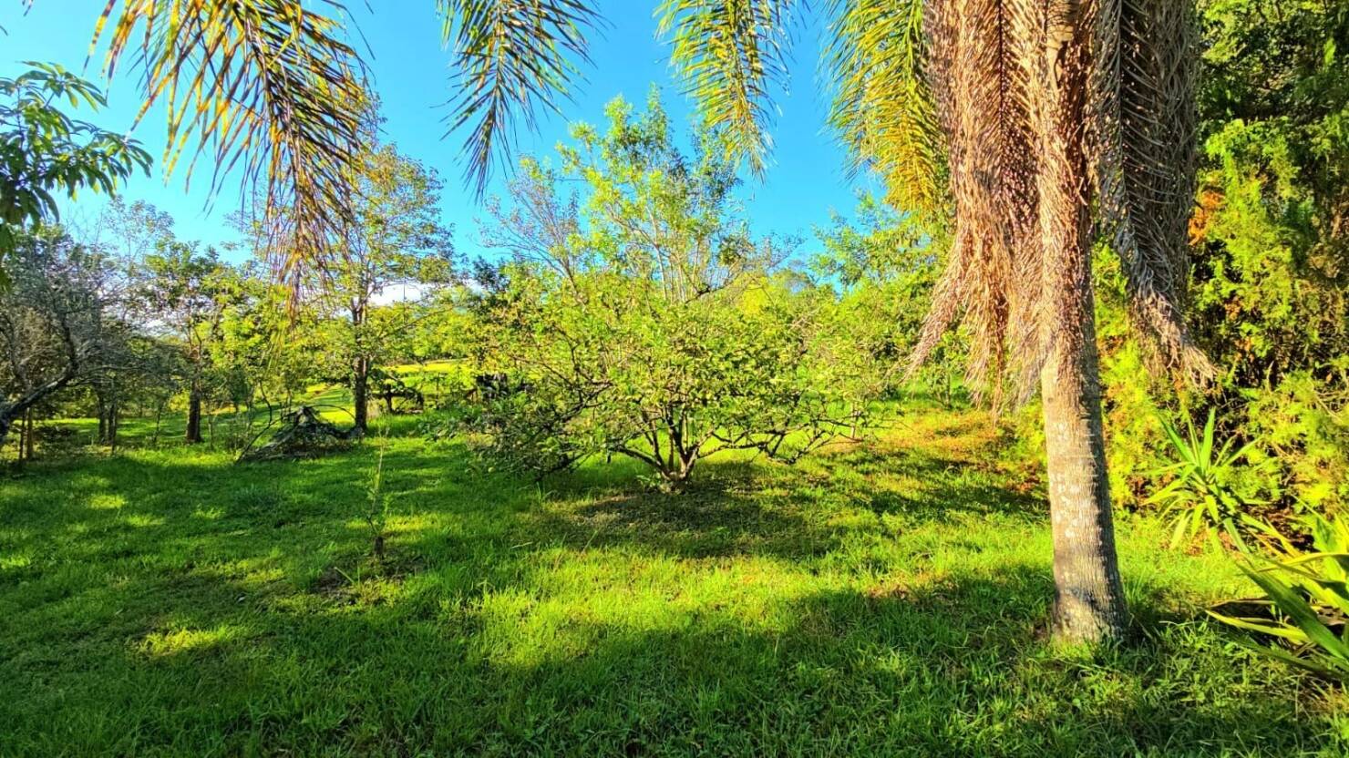 Chácara, 1 quarto, 3 hectares - Foto 6