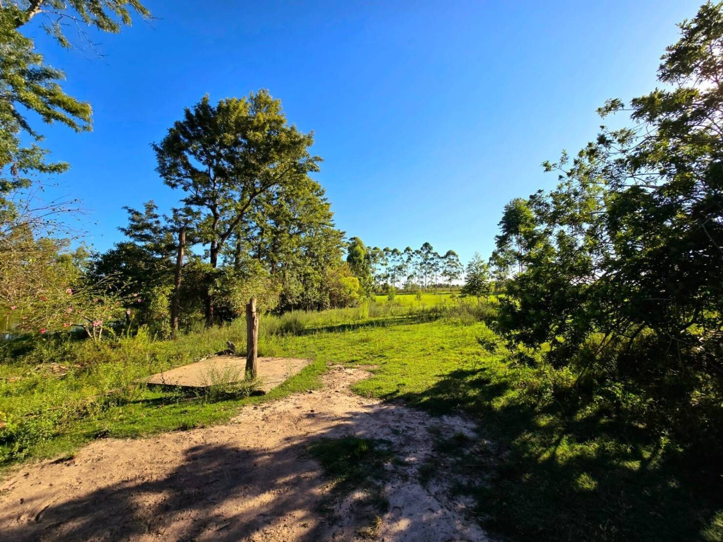 Chácara, 1 quarto, 3 hectares - Foto 9