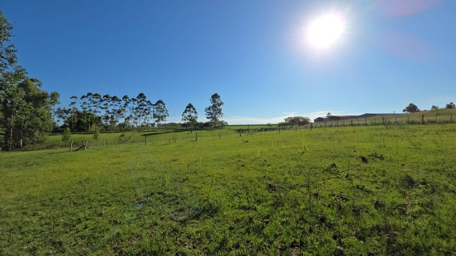 Chácara, 1 quarto, 3 hectares - Foto 10