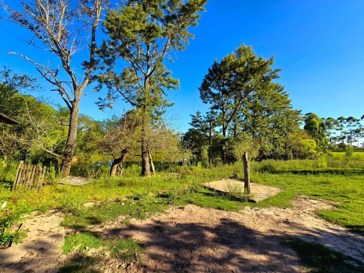 Chácara, 1 quarto, 3 hectares - Foto 11