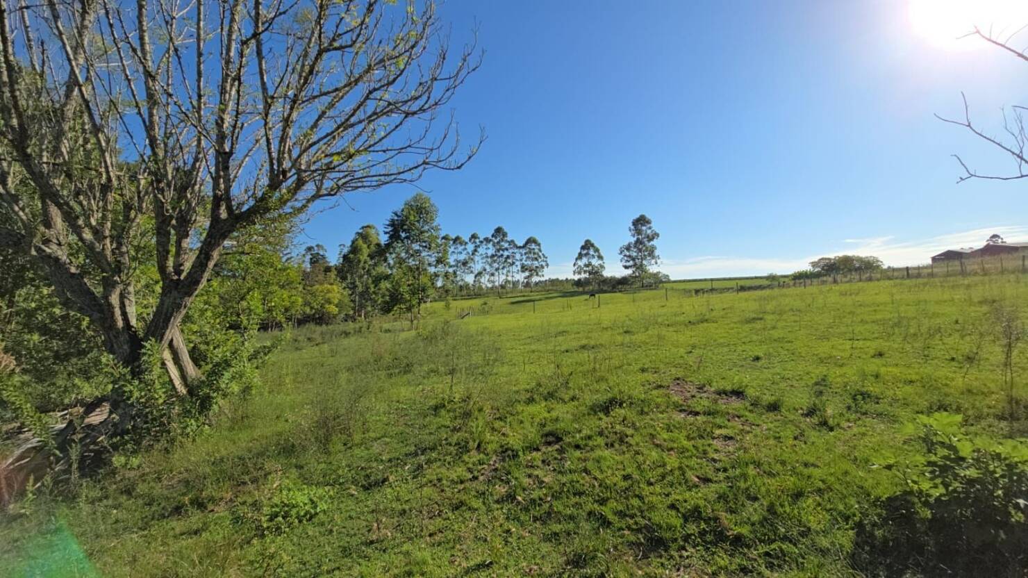 Chácara, 1 quarto, 3 hectares - Foto 12