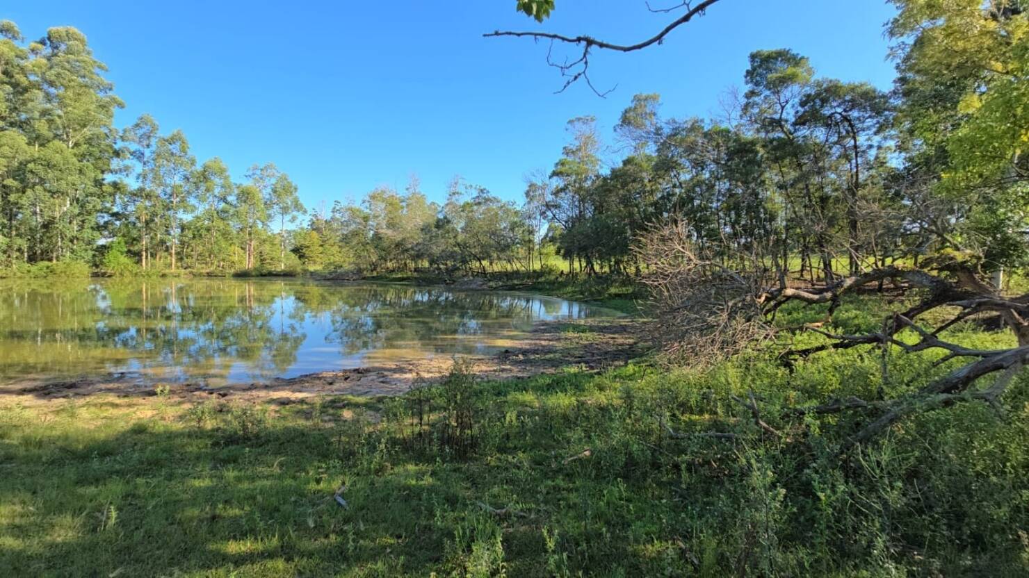 Chácara, 1 quarto, 3 hectares - Foto 17