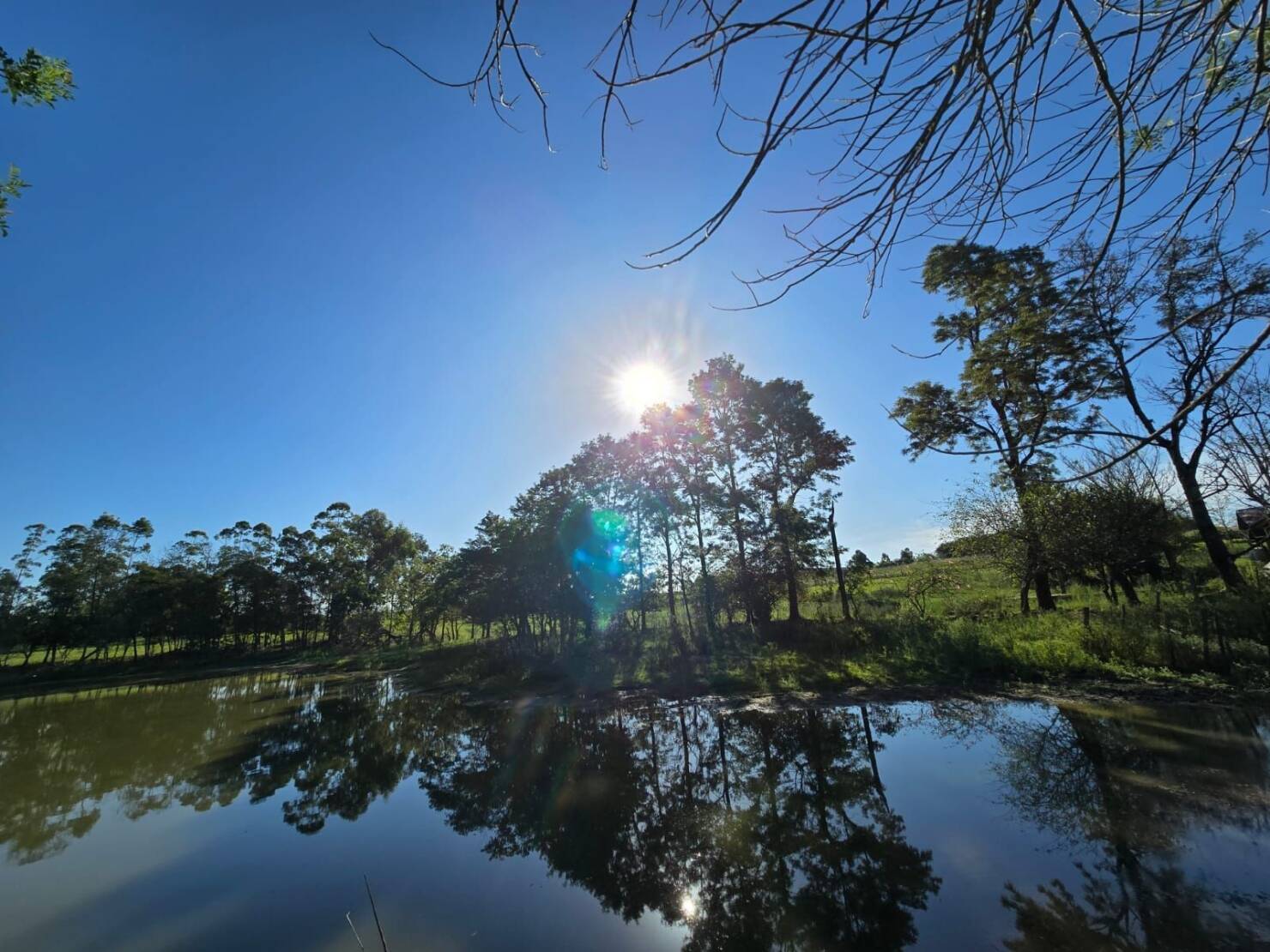 Chácara, 1 quarto, 3 hectares - Foto 18