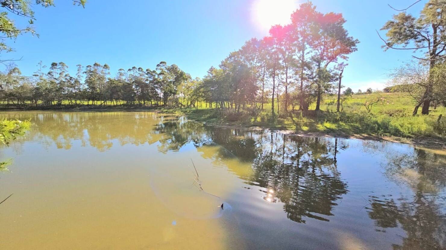 Chácara, 1 quarto, 3 hectares - Foto 19