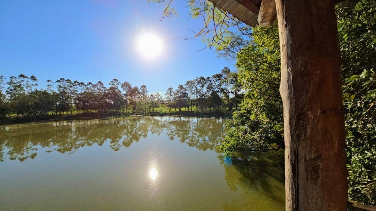 Chácara, 1 quarto, 3 hectares - Foto 1