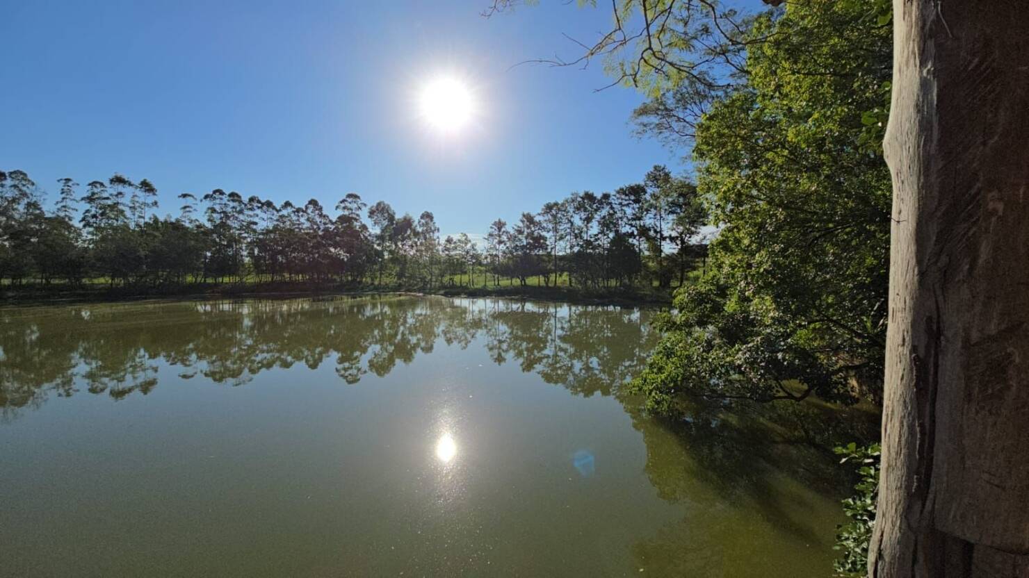 Chácara, 1 quarto, 3 hectares - Foto 2