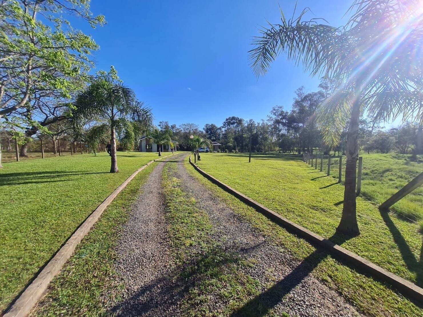 Chácara, 3 quartos, 2 hectares - Foto 10