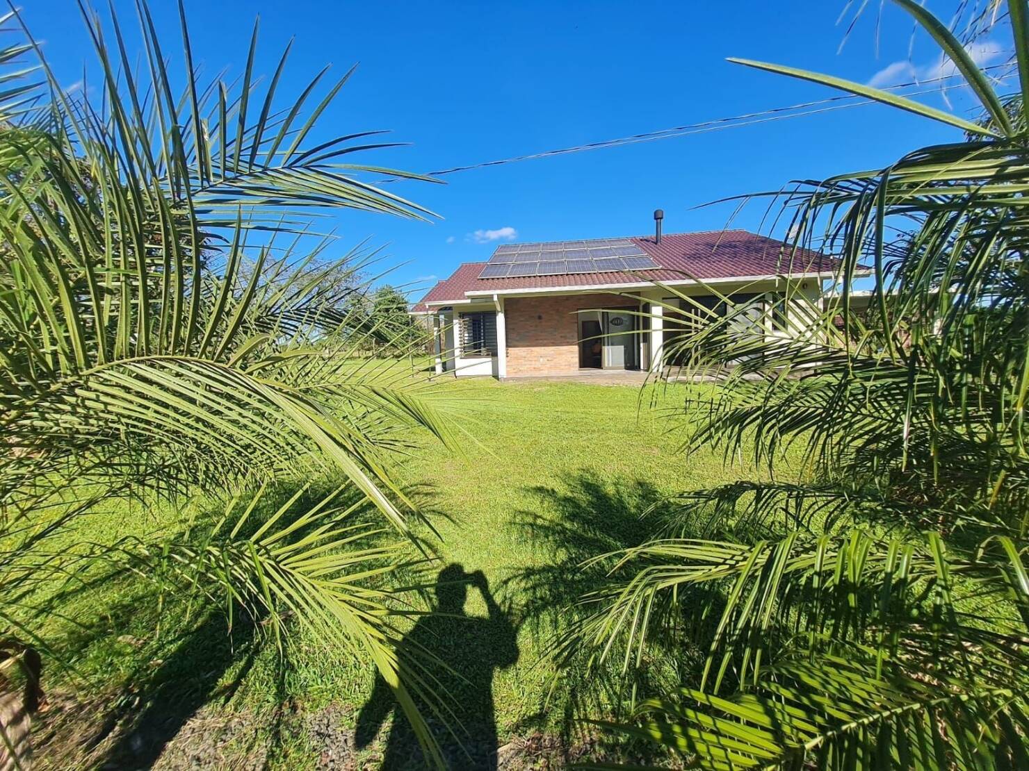 Chácara, 3 quartos, 2 hectares - Foto 29