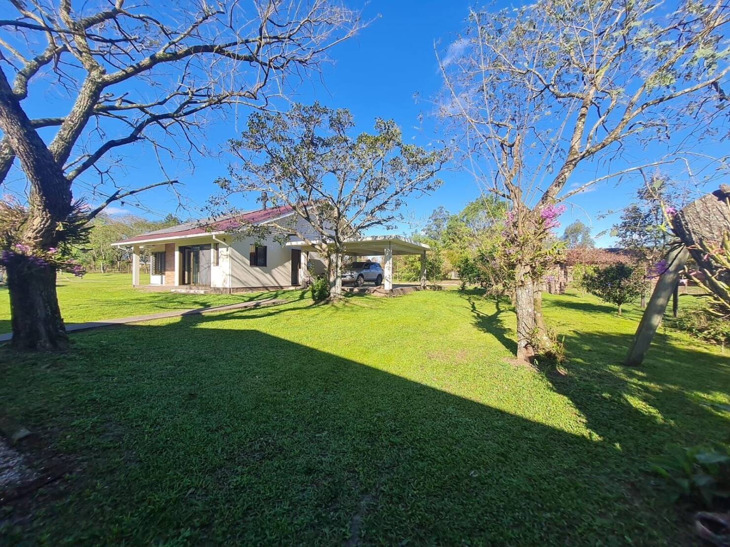 Chácara, 3 quartos, 2 hectares - Foto 34