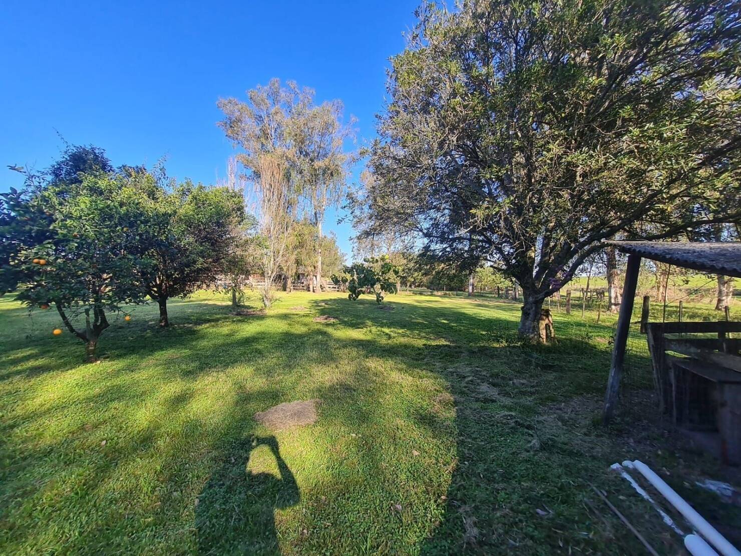 Chácara, 3 quartos, 2 hectares - Foto 35