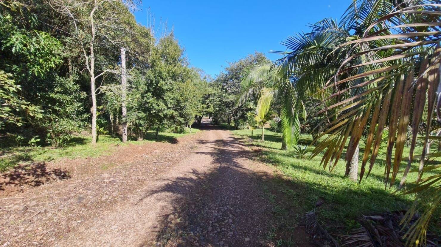 Chácara à venda com 3 quartos, 170m² - Foto 16