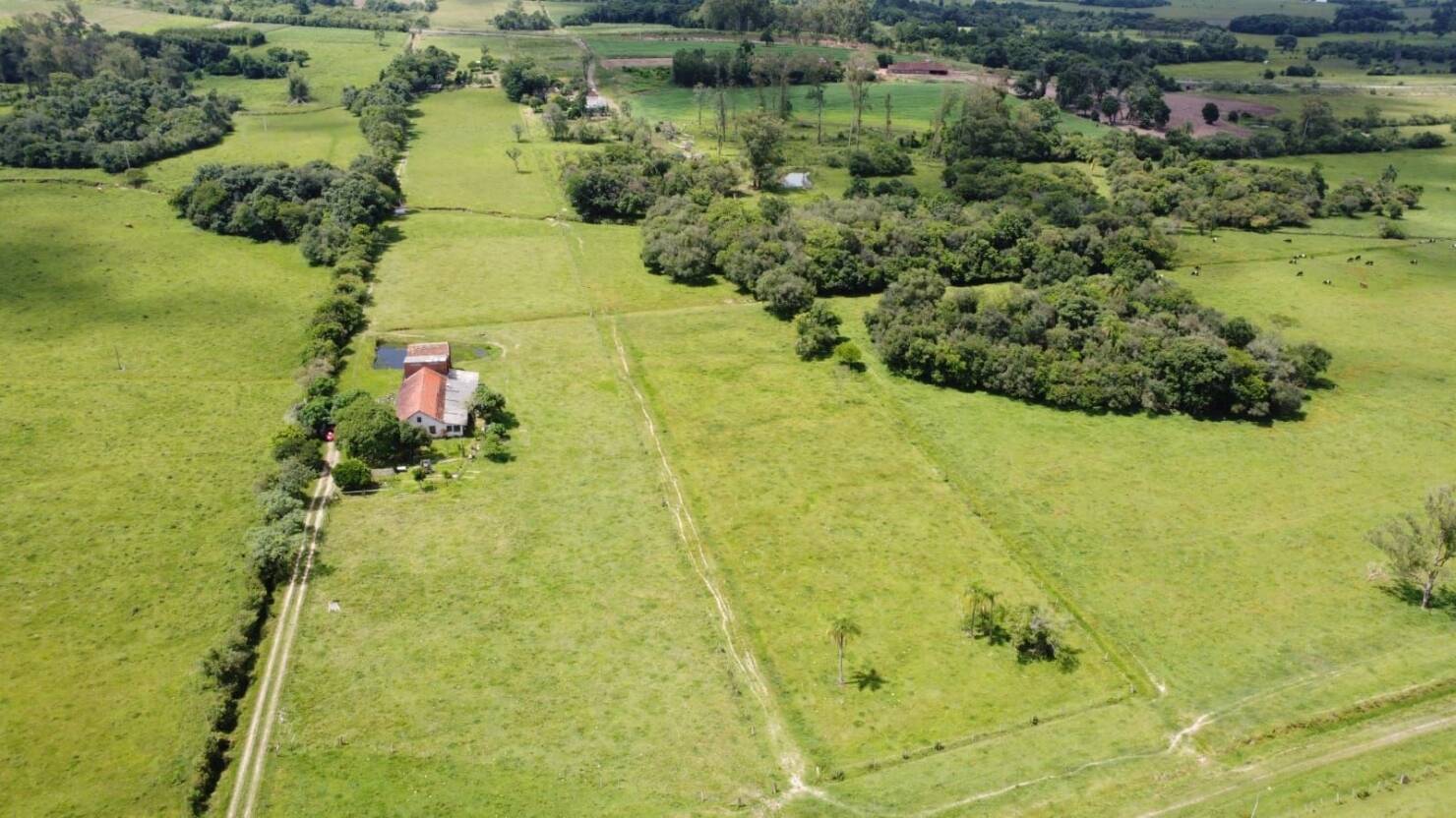 Sítio, 3 quartos, 180 m² - Foto 5