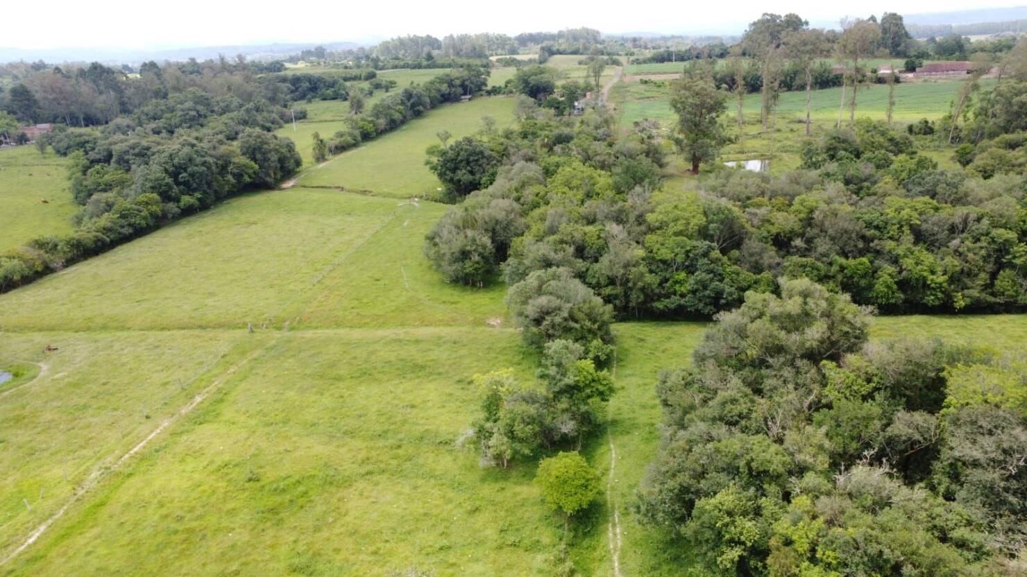 Sítio, 3 quartos, 180 m² - Foto 6