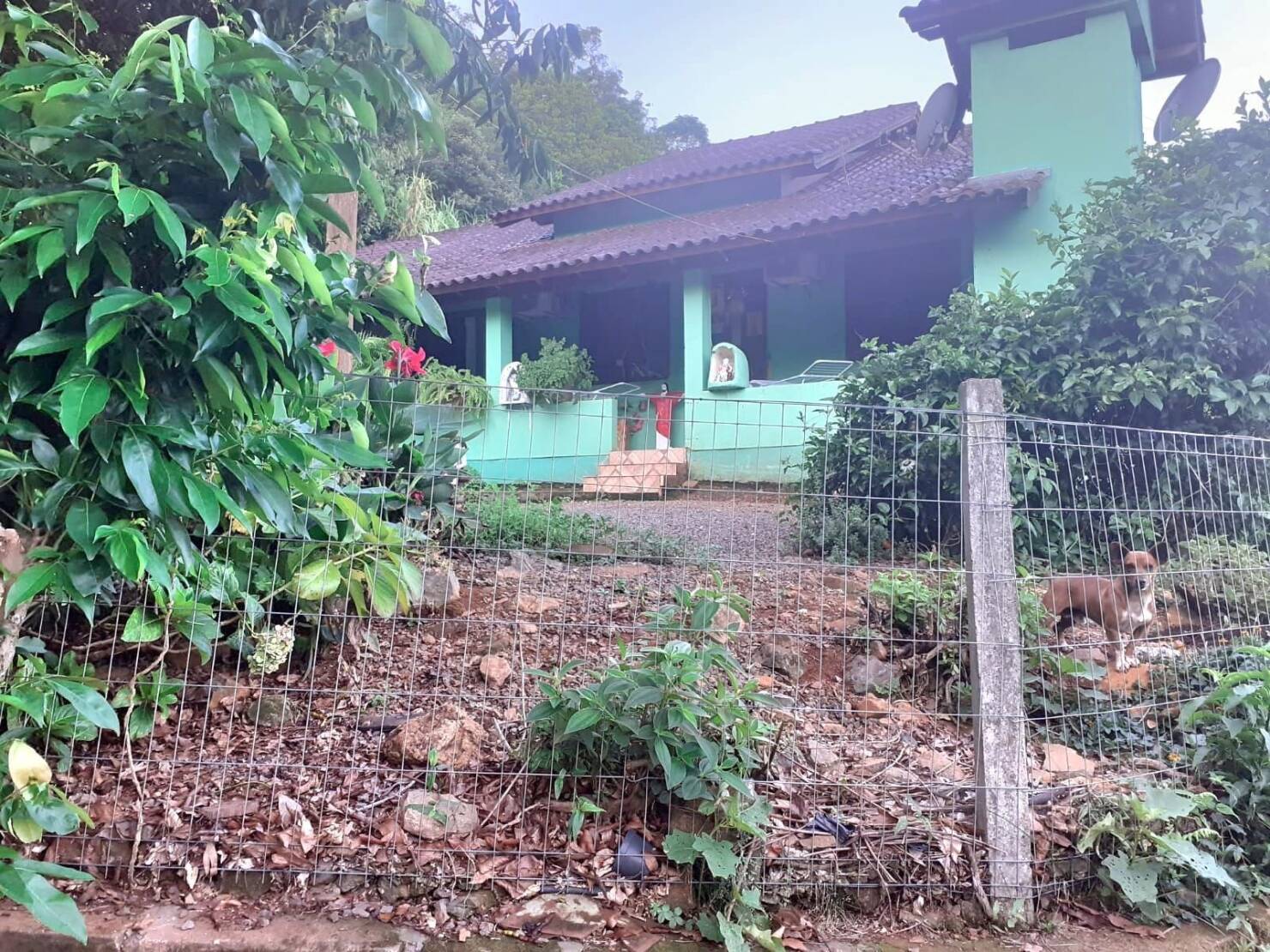 Fazenda à venda com 4 quartos, 130000m² - Foto 2
