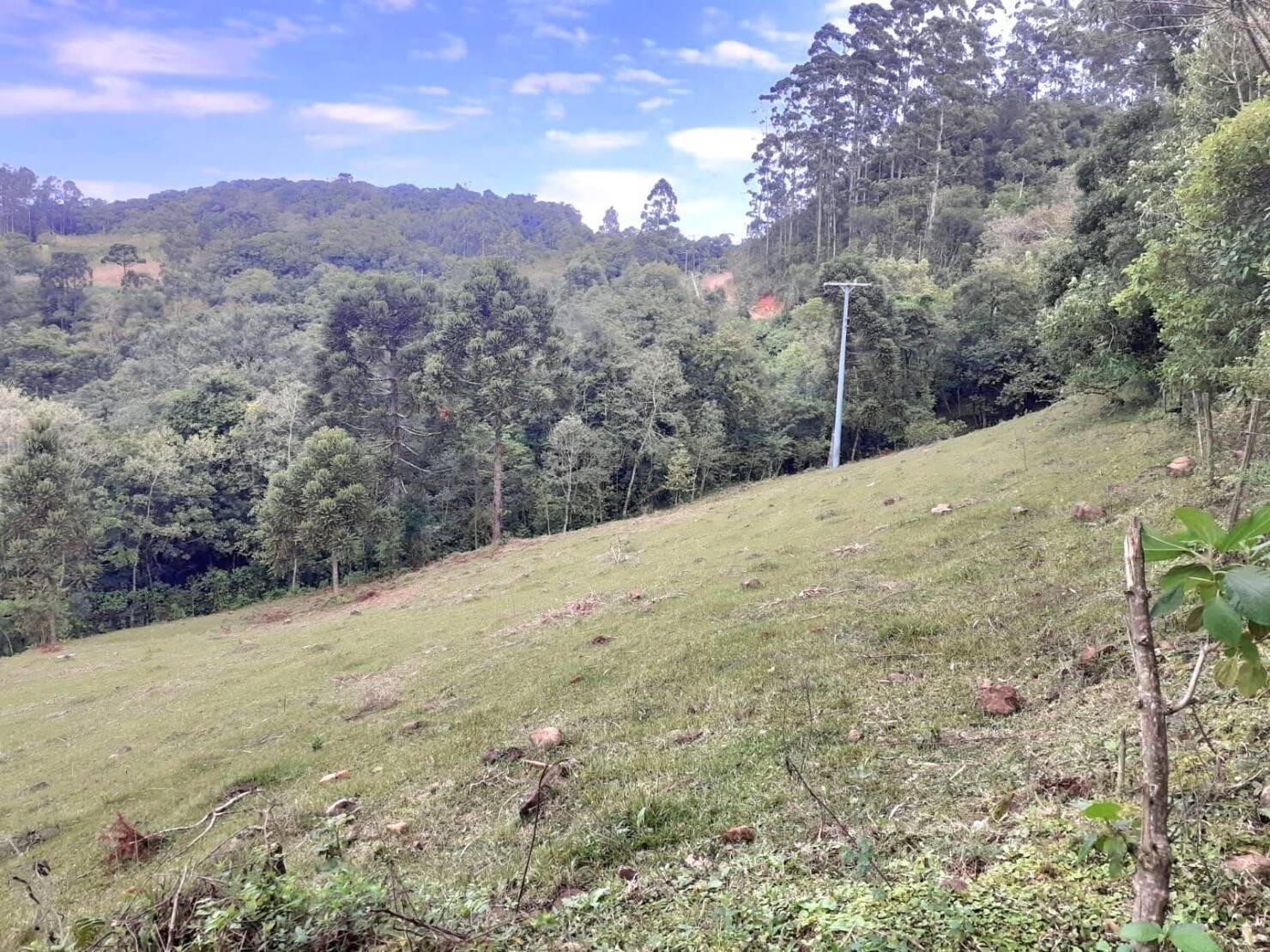 Fazenda à venda com 4 quartos, 130000m² - Foto 7