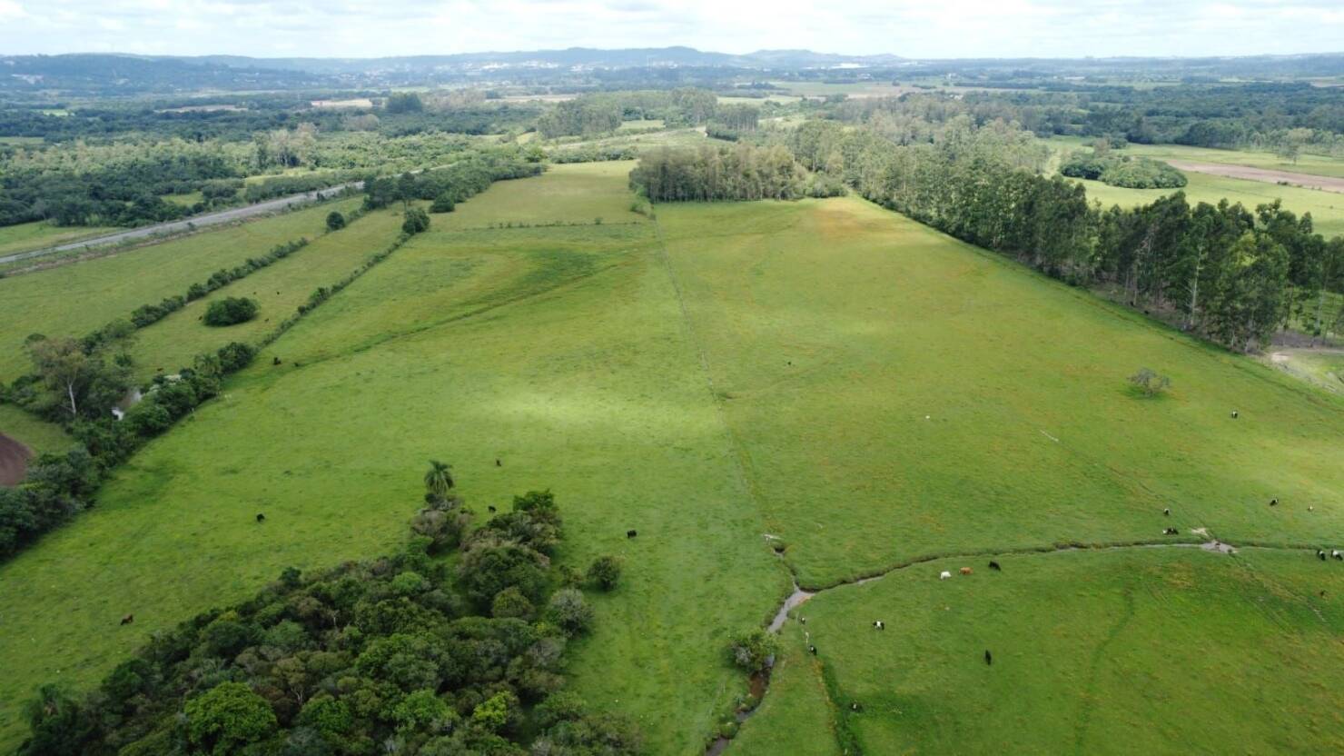 Sítio, 3 quartos, 180 m² - Foto 7