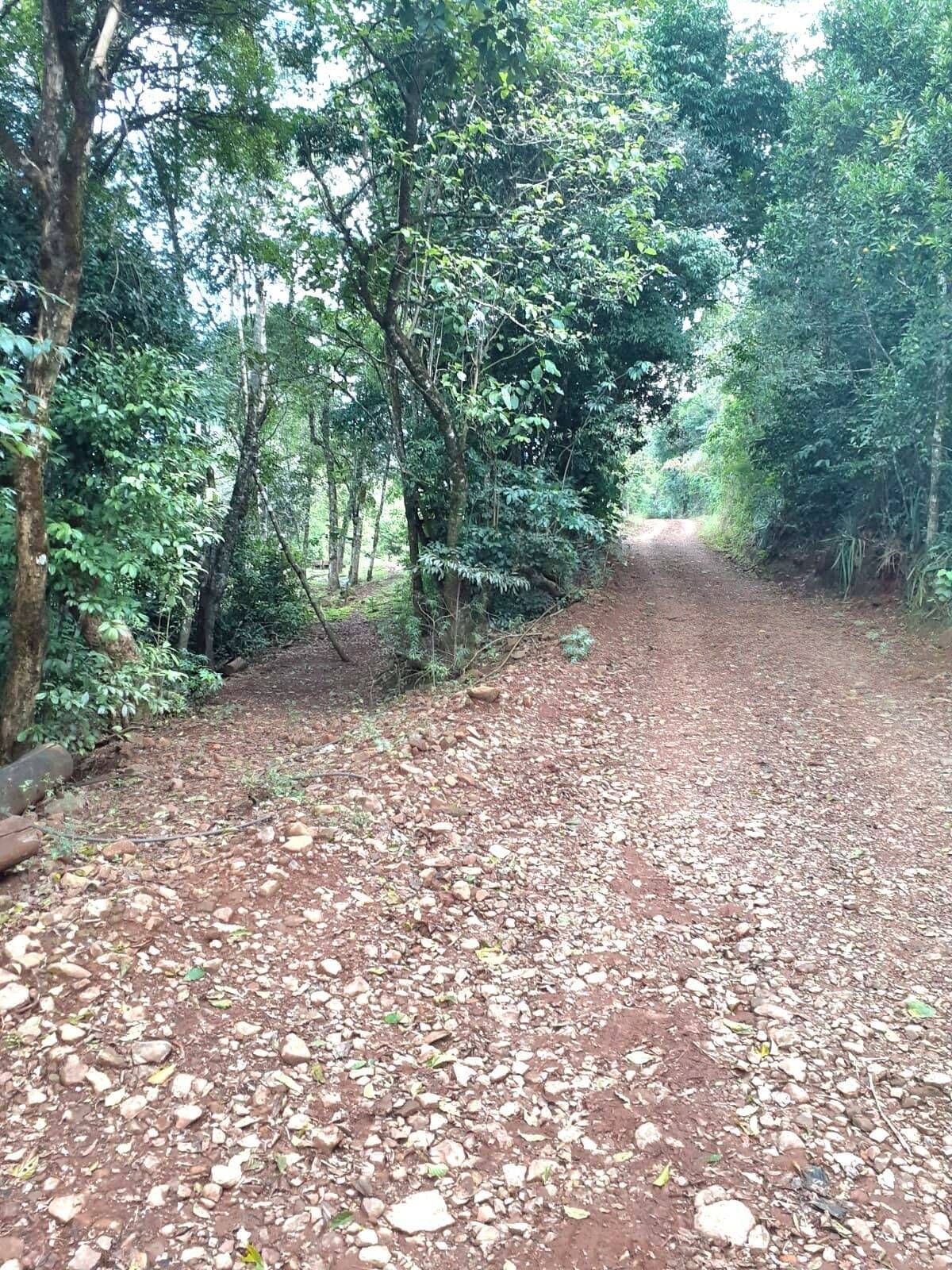 Fazenda à venda com 4 quartos, 130000m² - Foto 11
