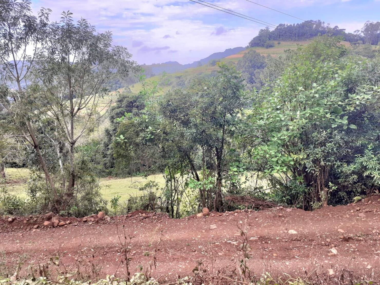 Fazenda à venda com 4 quartos, 130000m² - Foto 12