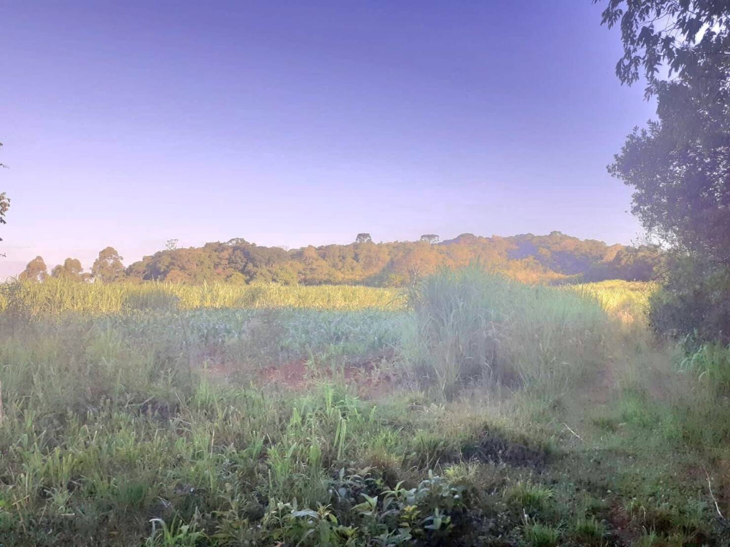 Fazenda à venda com 4 quartos, 130000m² - Foto 27