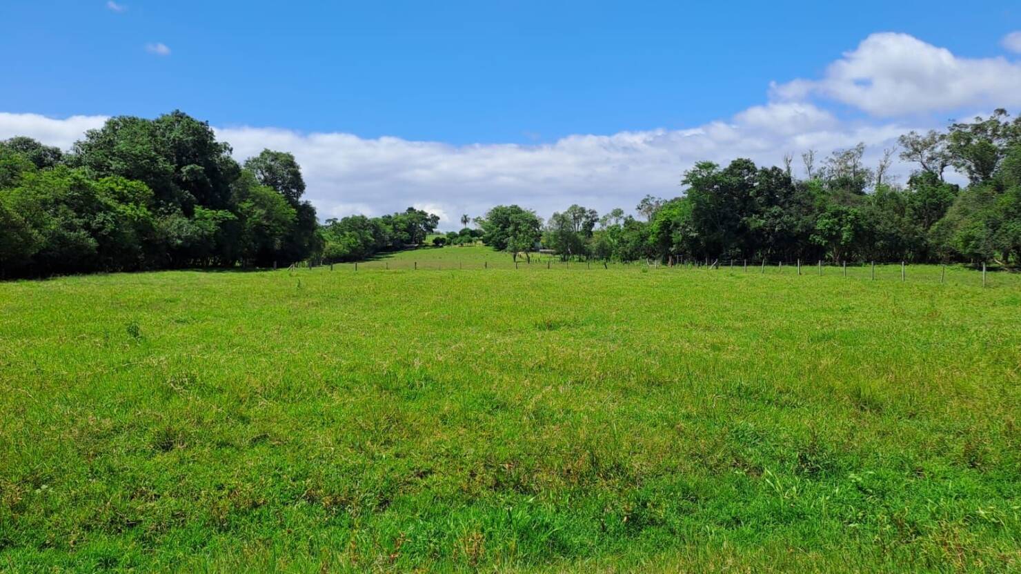 Sítio, 3 quartos, 180 m² - Foto 11