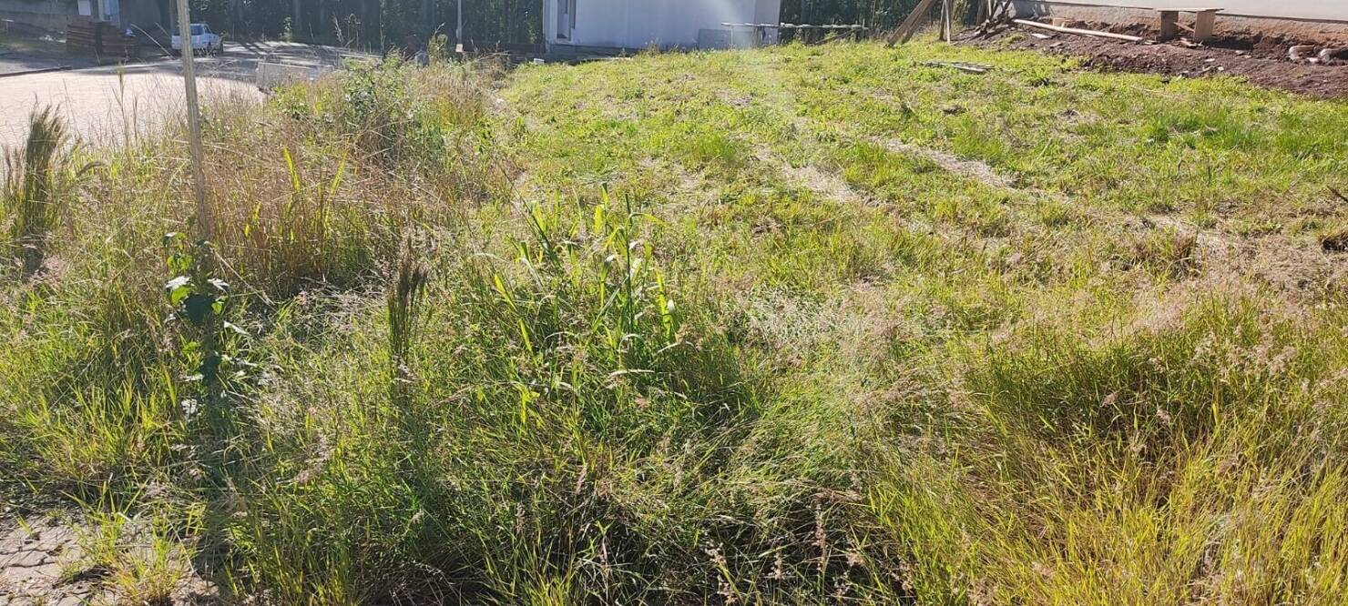 Terreno, 465 m² - Foto 3