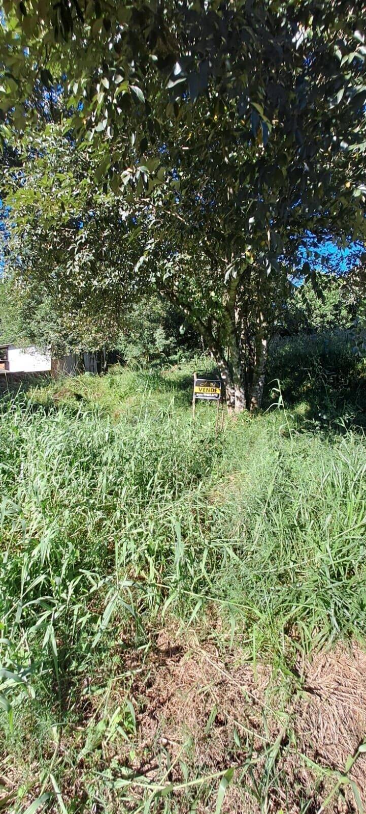 Terreno, 340 m² - Foto 3