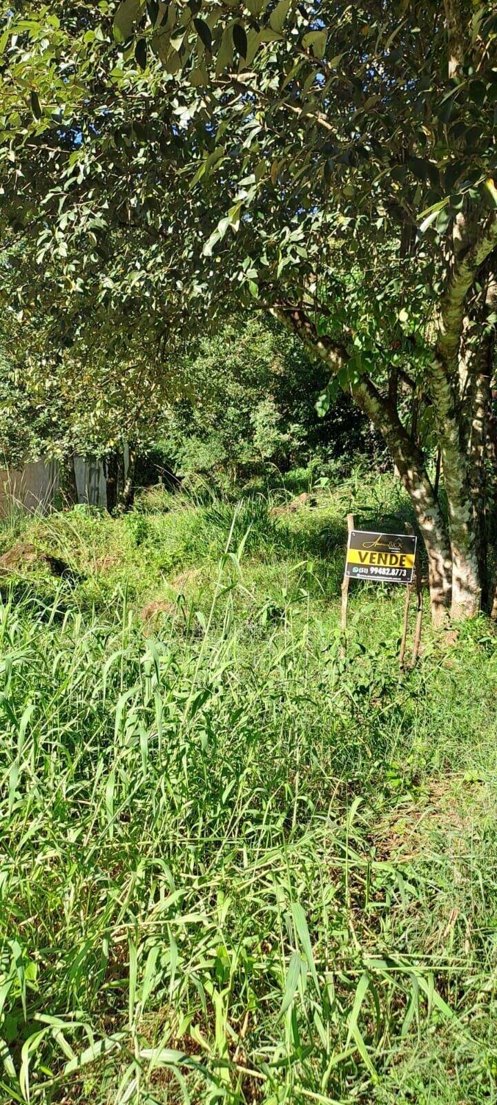 Terreno, 340 m² - Foto 4