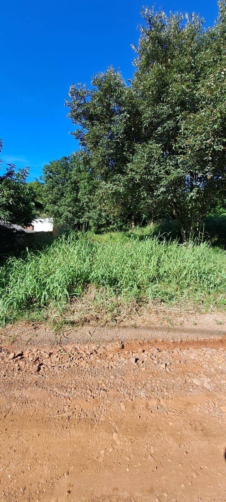 Terreno, 340 m² - Foto 6