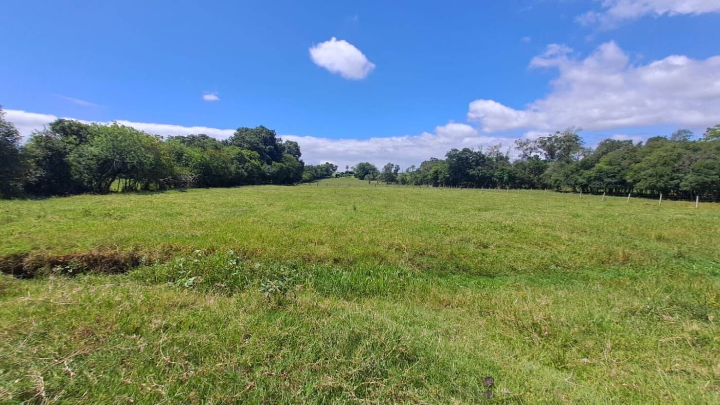 Sítio, 3 quartos, 180 m² - Foto 22