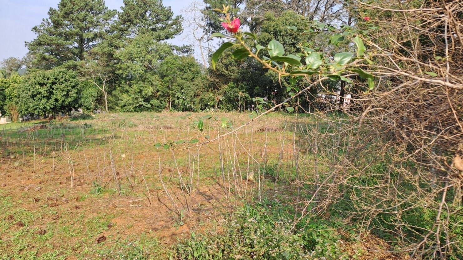 Terreno, 425 m² - Foto 1